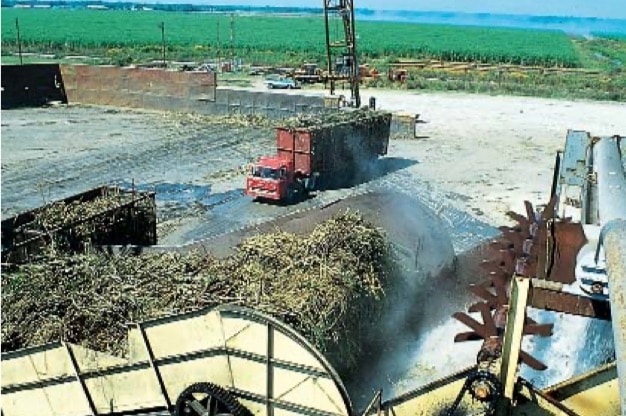 Sugar Industry Pumps