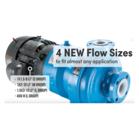 Goulds 3298 mag drive pump